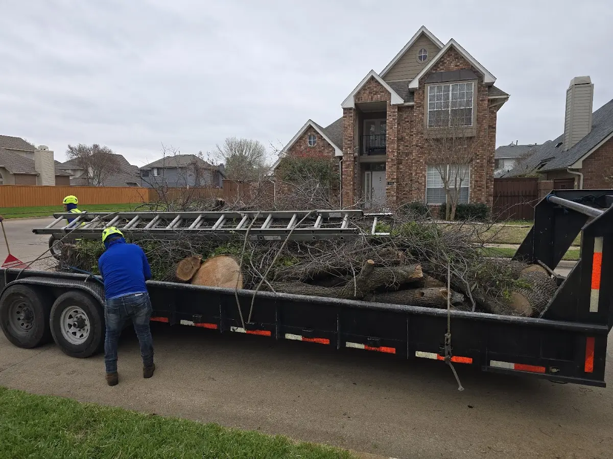 Expert Tree Fertilization with proper safety equipment in Scott